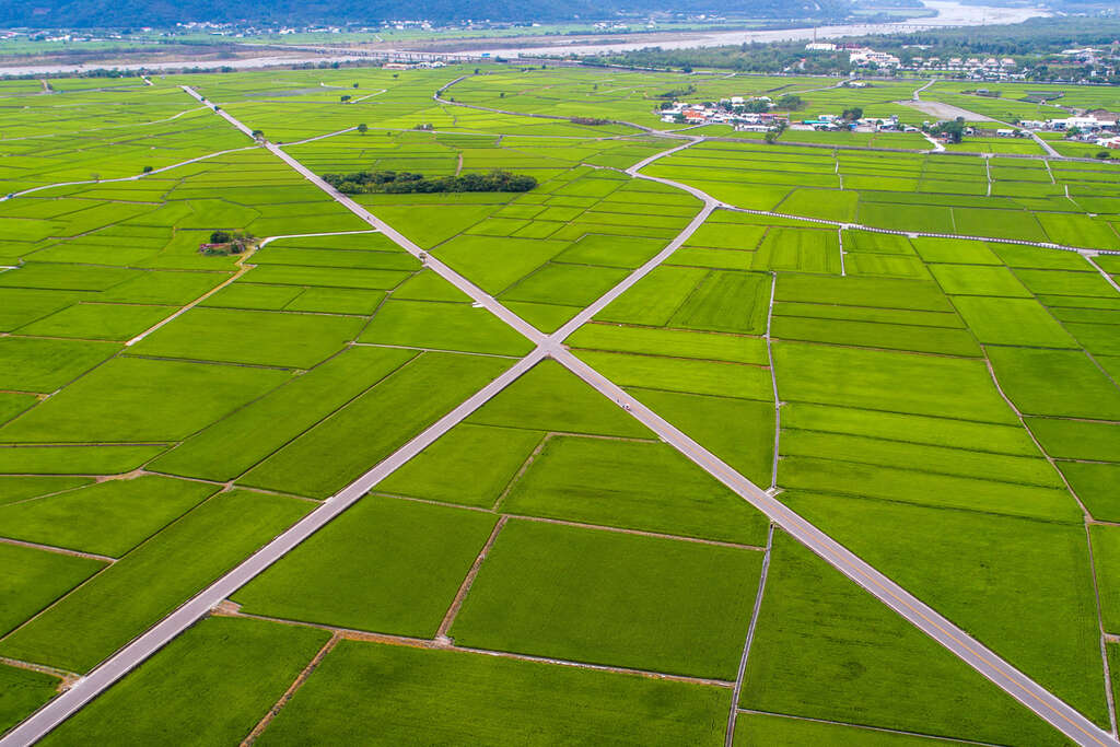 翠綠的天堂之路