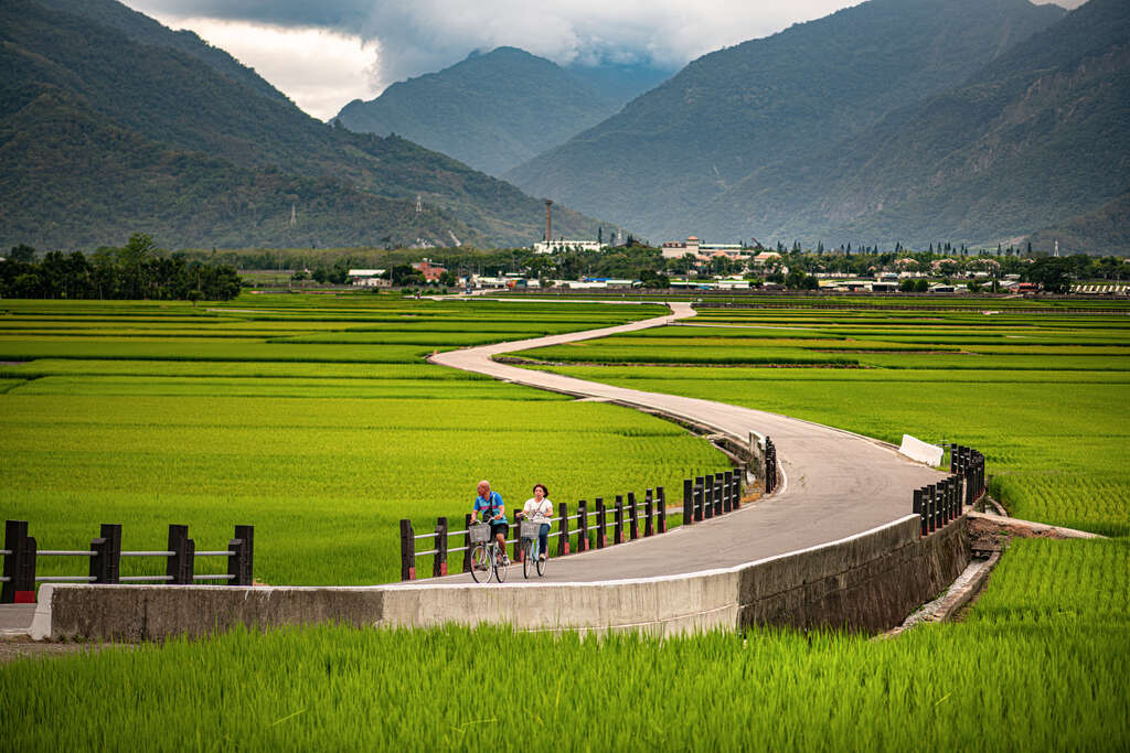 正式名稱為錦新三號道路