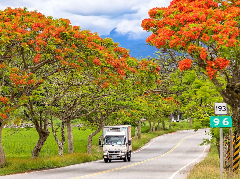 県道193号線