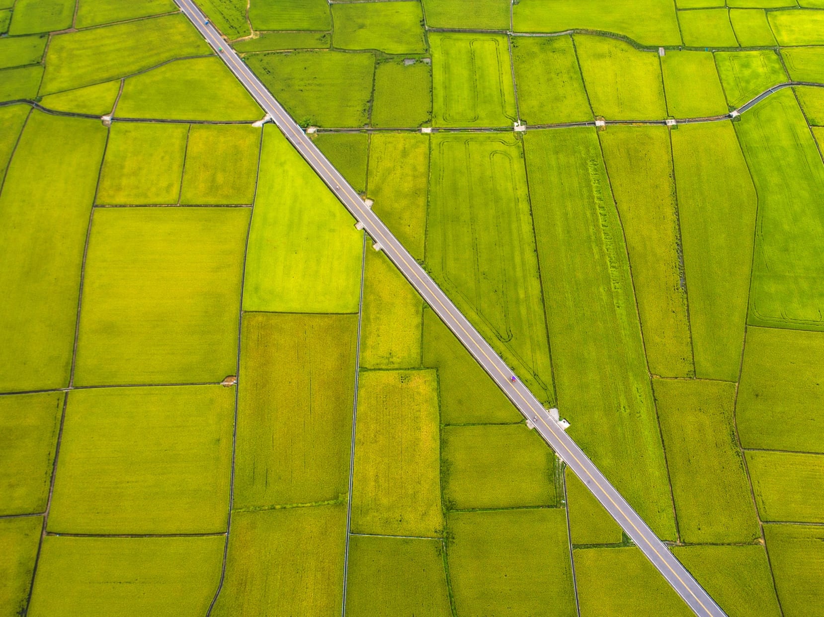 花東縦谷国家風景区