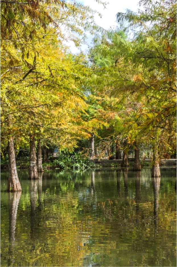 花東縦谷国家風景区