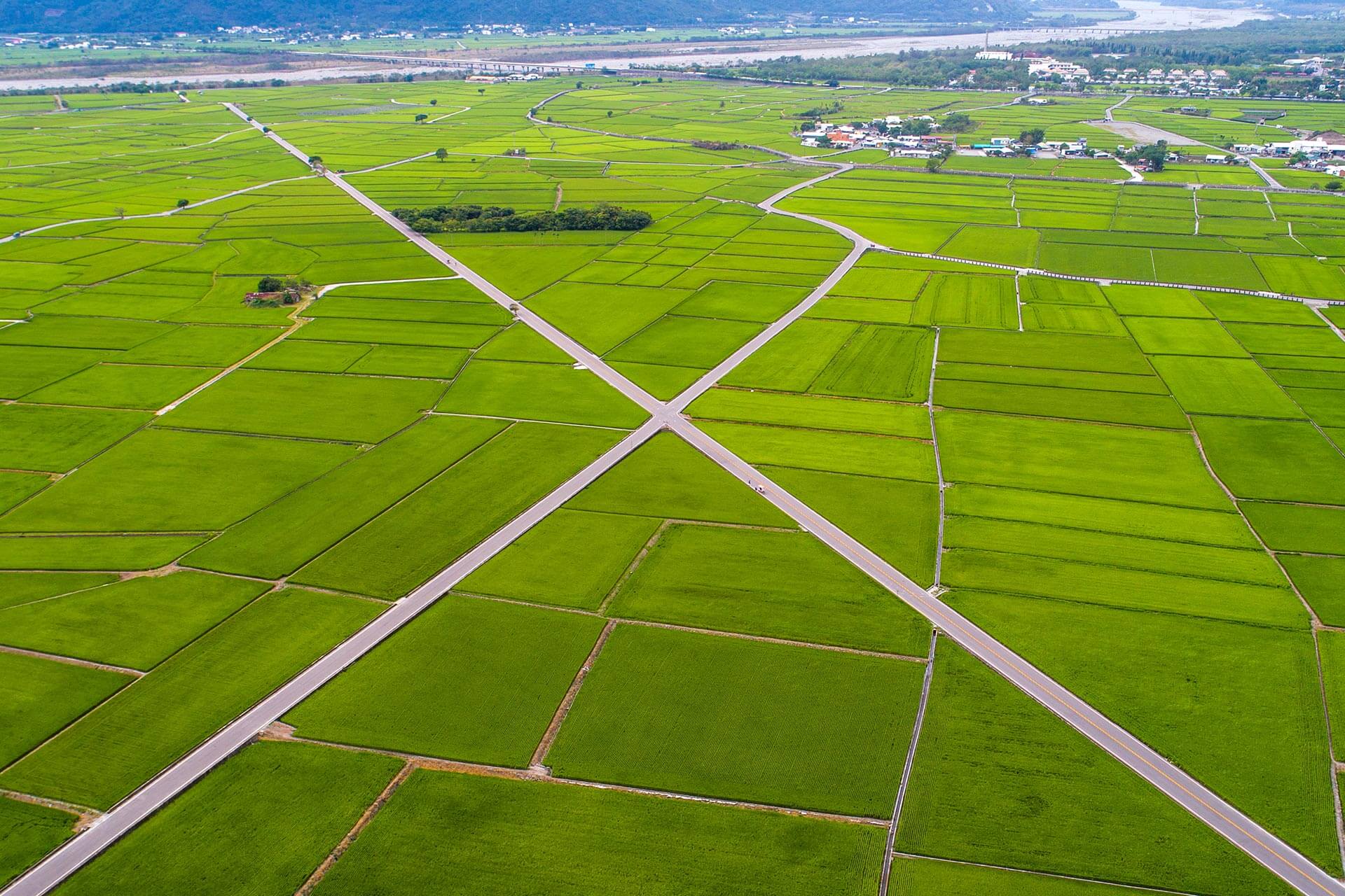 池上伯朗大道與天堂路