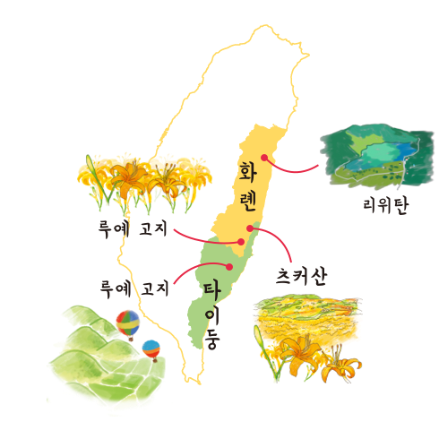 라이브 카메라 위치