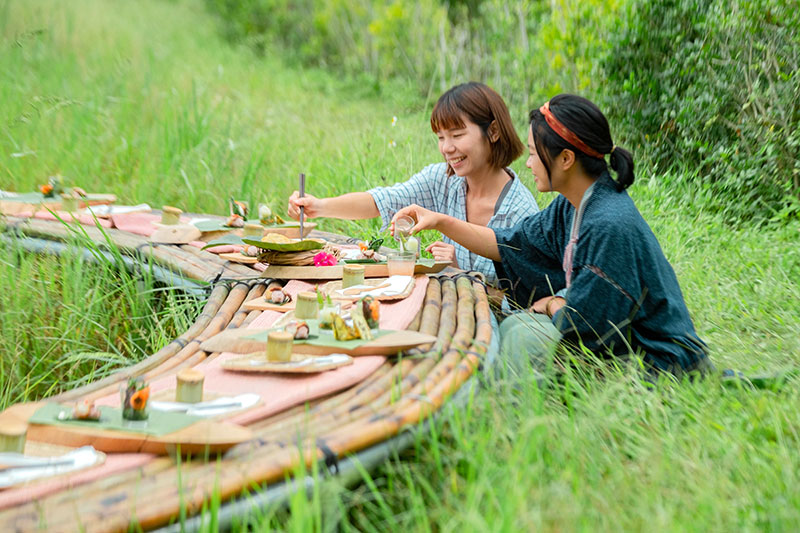 Red glutinous rice paddy picnic