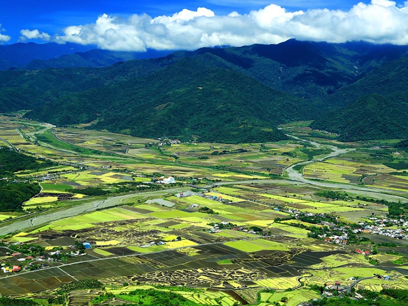 鹿野高台