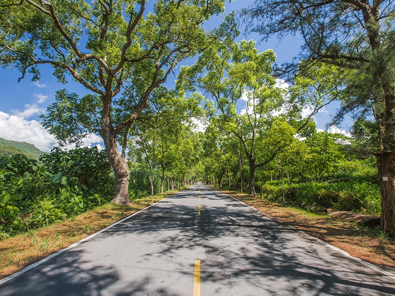 Wuling Green Tunnel