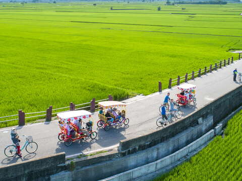 在稻田中騎車是愜意的事情