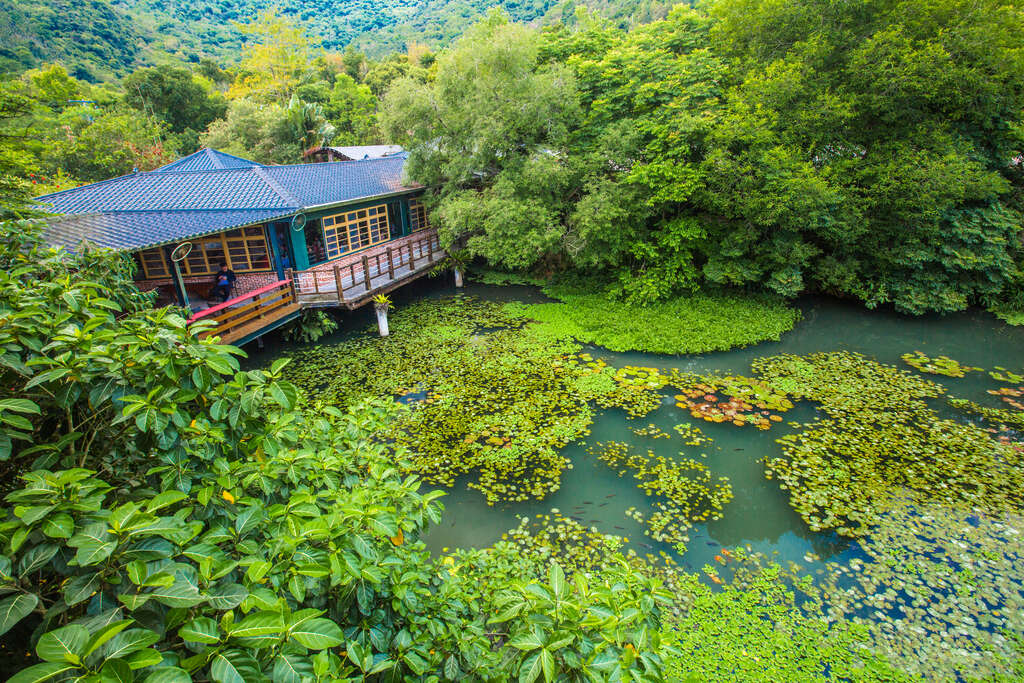 馬太鞍湿地