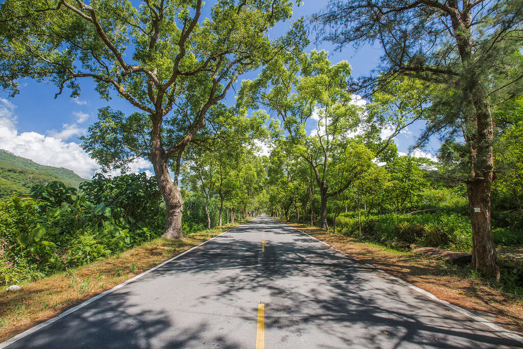 武嶺綠色隧道