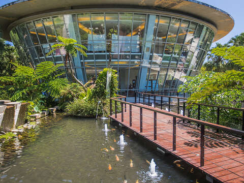 臺東原生應用植物園可認識許多藥用植物