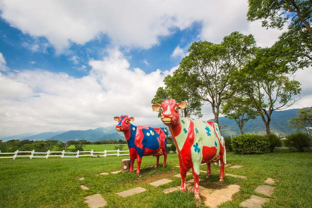 彩繪的乳牛是初鹿牧場顯目的地標