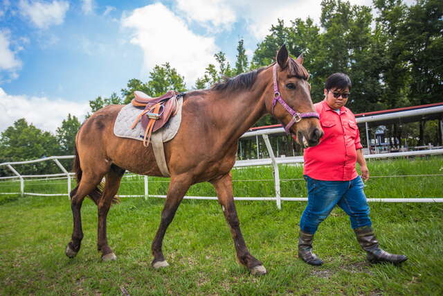 來到初鹿牧場可以體驗騎馬的樂趣