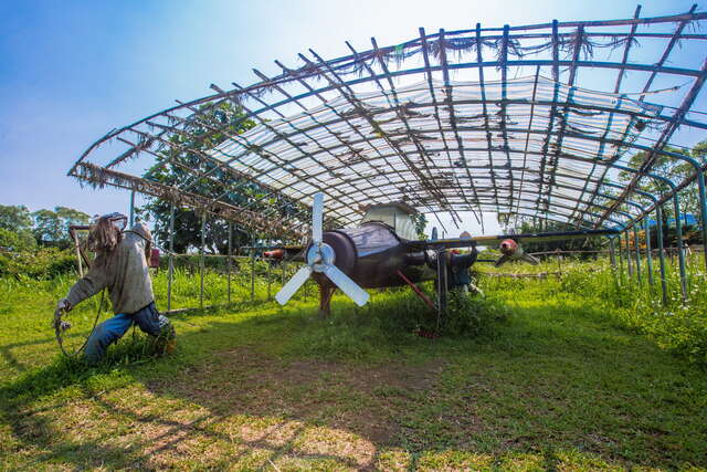 拉索埃生態園區中也有放置飛機供人拍照欣賞