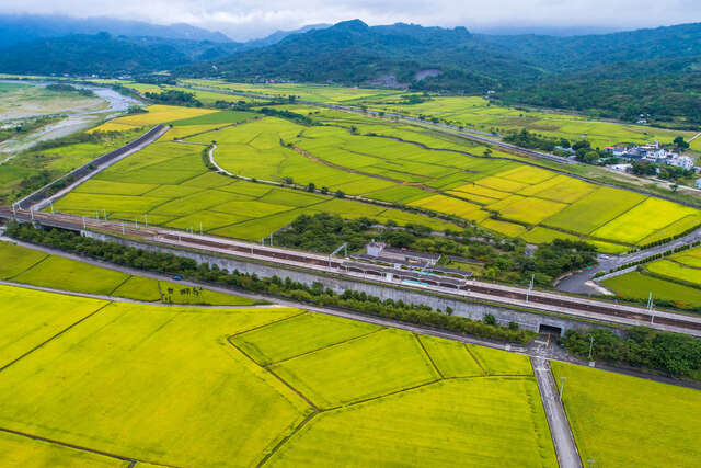 壯觀令人驚呼不已的田園景緻，深深吸引不少遊客前來探訪東里車站