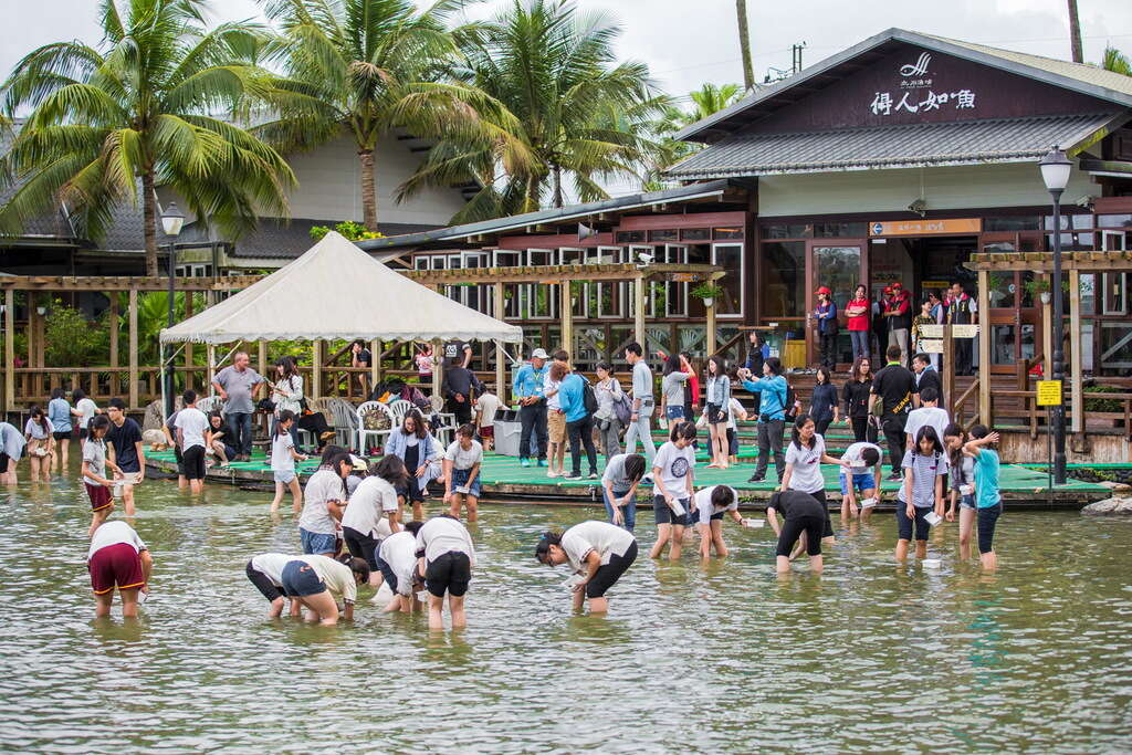 適合學校、親子、團體來摸蜆體驗