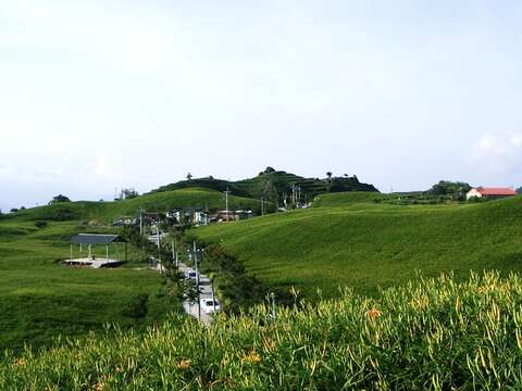 Bright, Orange Blossoms of Late Summer--Daylilies of Liushidan Mountain