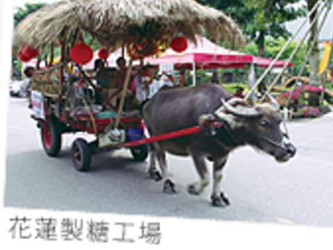 花東縱谷北ル一ト + 東部海岸南ル一ト一泊二日