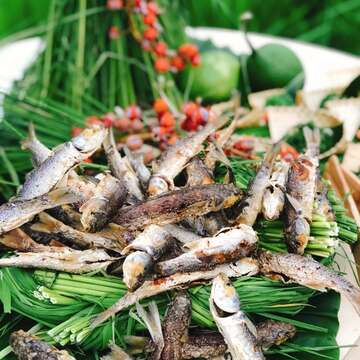 The “tribal tour on dining table" starts from the tribe of Zhiluo, the “rice field, footprint, and dining table”