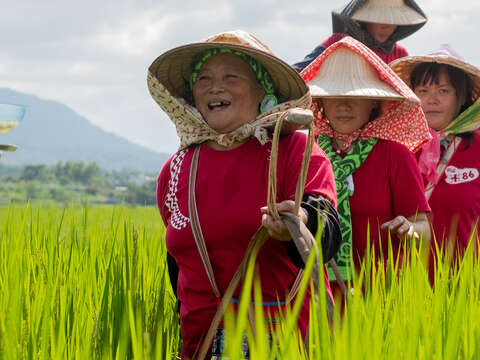 The “tribal tour on dining table" starts from the tribe of Zhiluo, the “rice field, footprint, and dining table”