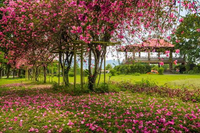 Shin Kong Chao Feng Ranch & Resort