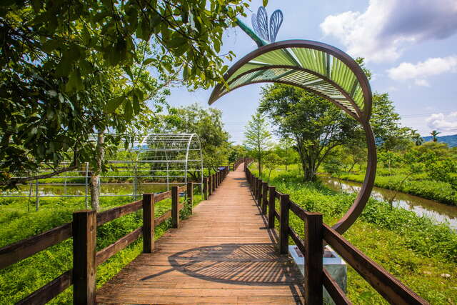 Walk along the T-shaped board walk and indulge yourself in the summer sea of flowers.