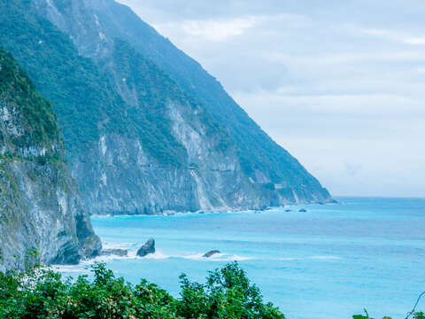 台灣觀巴-脊梁山脈花蓮親山輕旅行二日遊