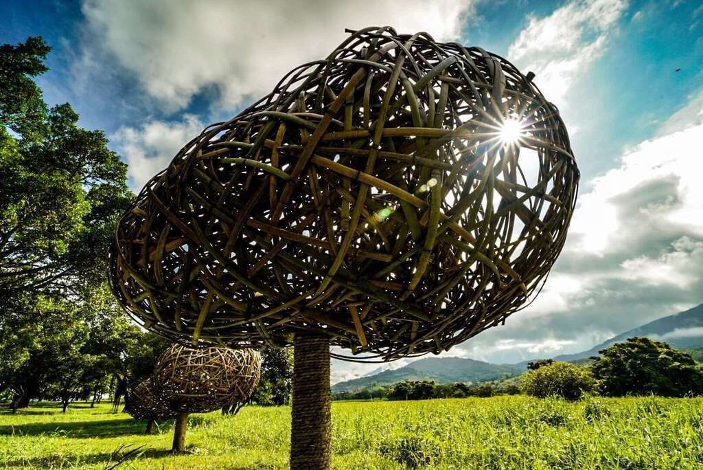 漂鳥197藝術家 陳正瑞-我想要有個家(取自水土保持局臺東分局)