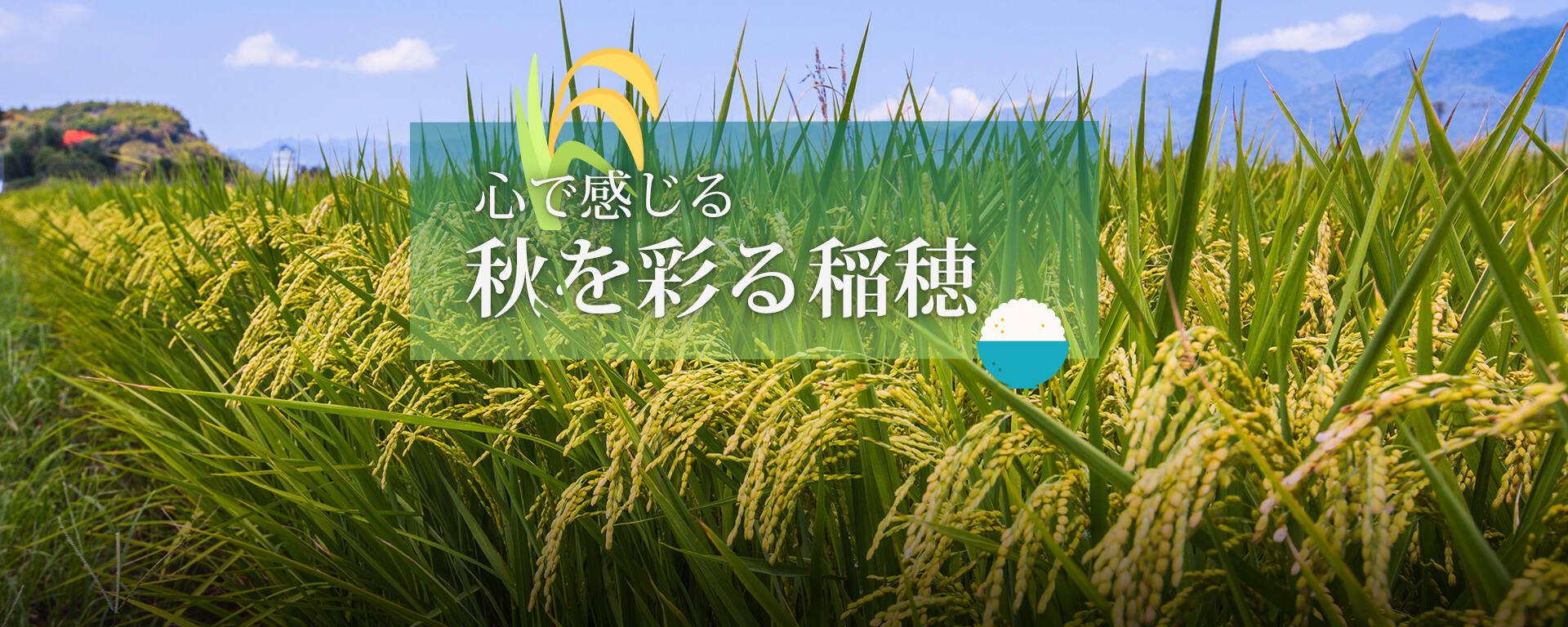 秋を彩る稲穂