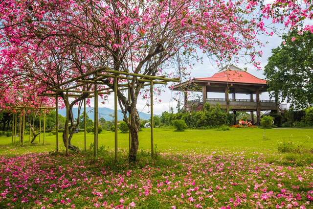 鳳林新光兆豐農場