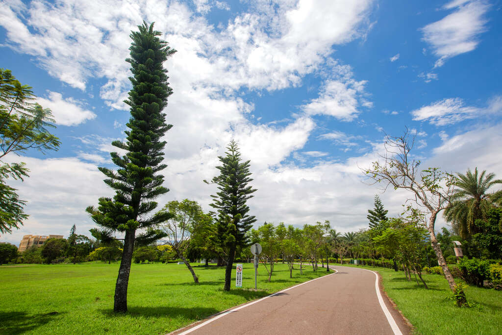 台東森林公園