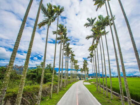 關山環鎮自行車道沿途擁有優美的田野景觀