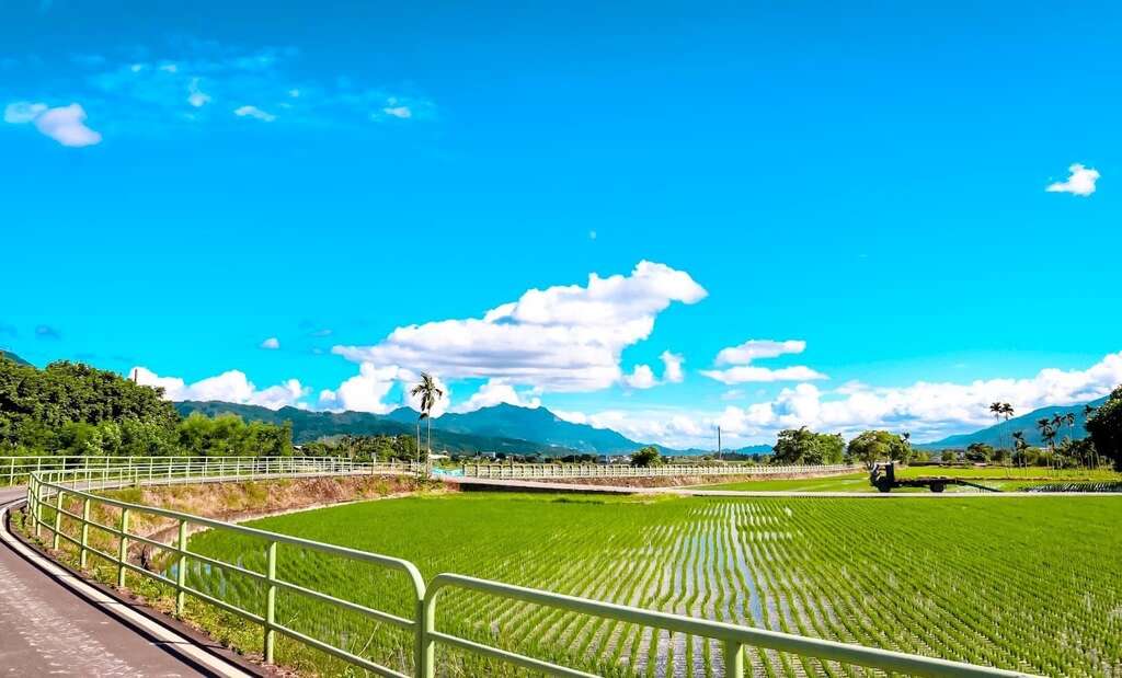 搭配悠遊國旅振興方案 縱管處再推「徐行縱谷-玩騎認證」單車遊 送限量花東好禮!