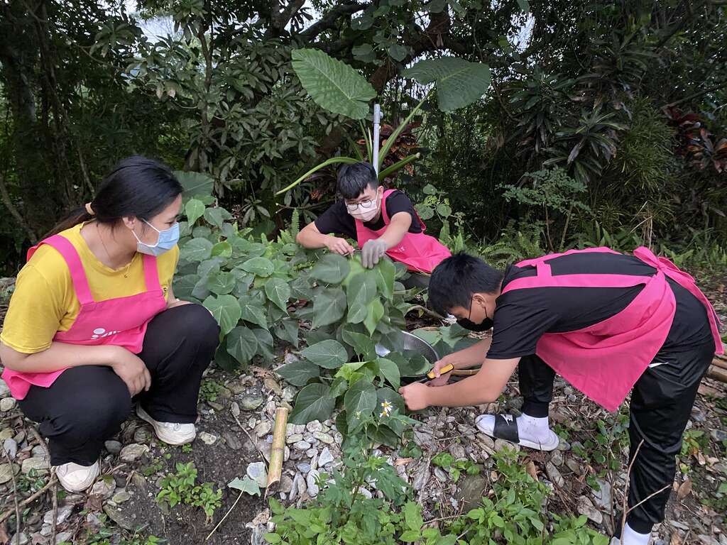 走讀支亞干部落 「耕吧 生火餐桌」半日遊 (5)