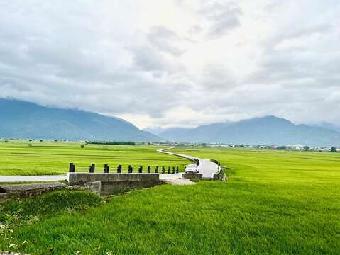 Tripbaa趣吧!旅遊平臺_池上稻浪2