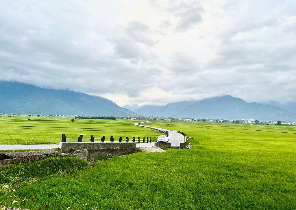 Tripbaa趣吧!旅遊平臺_池上稻浪2