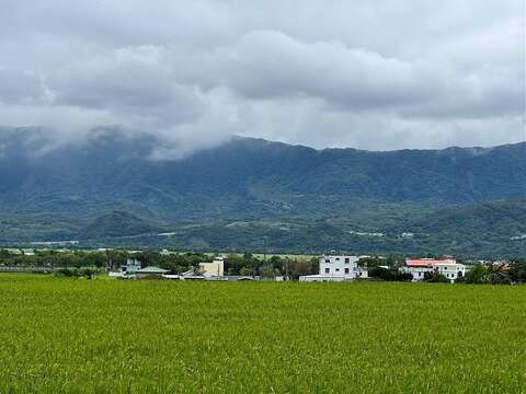 徐行縱谷 ~ 單車遊讀花東 1日｜關山日式懷舊 x 稻米文化之旅｜Tripbaa趣吧!1