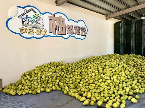 徐行縱谷 ~ 單車遊讀花東 1日｜瑞穗百年溫泉 x 柚香產地餐桌｜Tripbaa趣吧!8