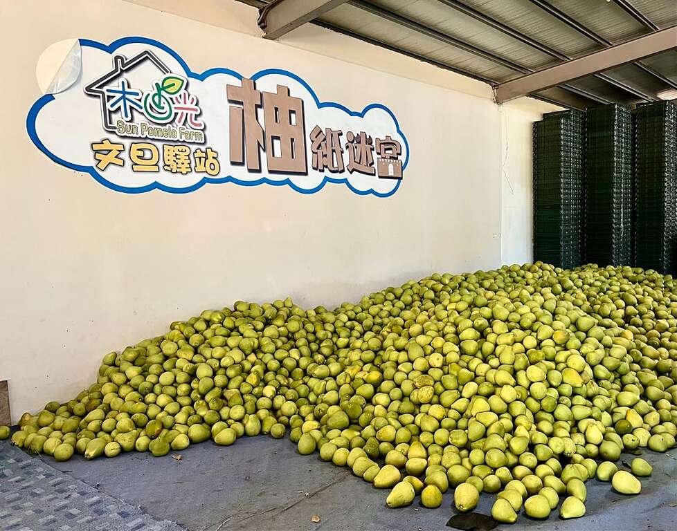 徐行縱谷 ~ 單車遊讀花東 1日|瑞穗百年溫泉 x 柚香產地餐桌|Tripbaa趣吧!8