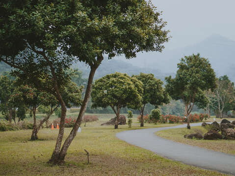 愛情大草原(阿里山國家風景區管理處提供)