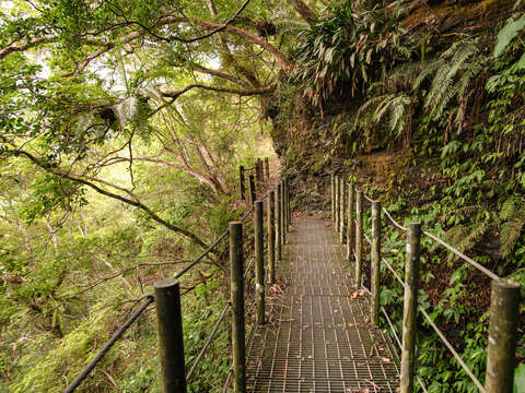 瓦拉米步道 (春)  (8)