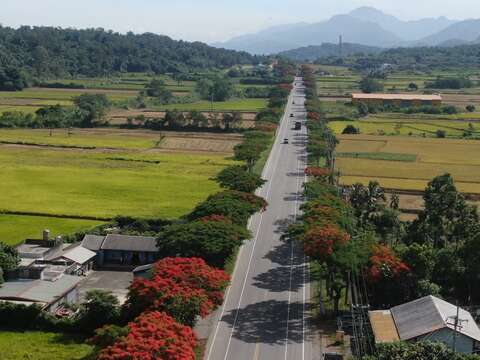 公路局提供照片 (1)