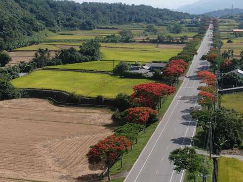 公路局提供照片 (2)