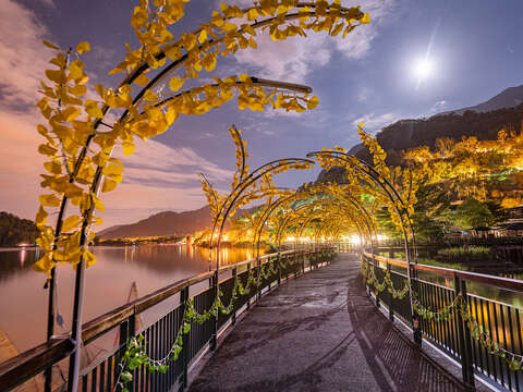 11_2025花蓮鯉魚潭仲夏水岸光影節_鯉魚潭水岸步道