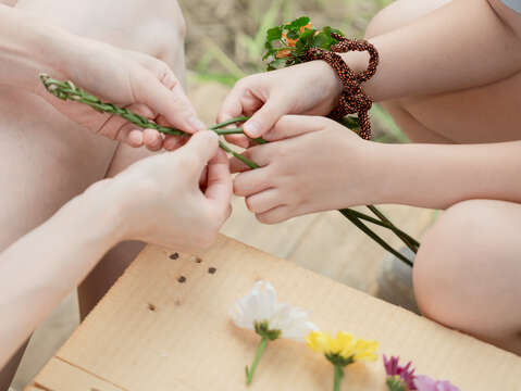 House of Aesthetics- Plant weaving