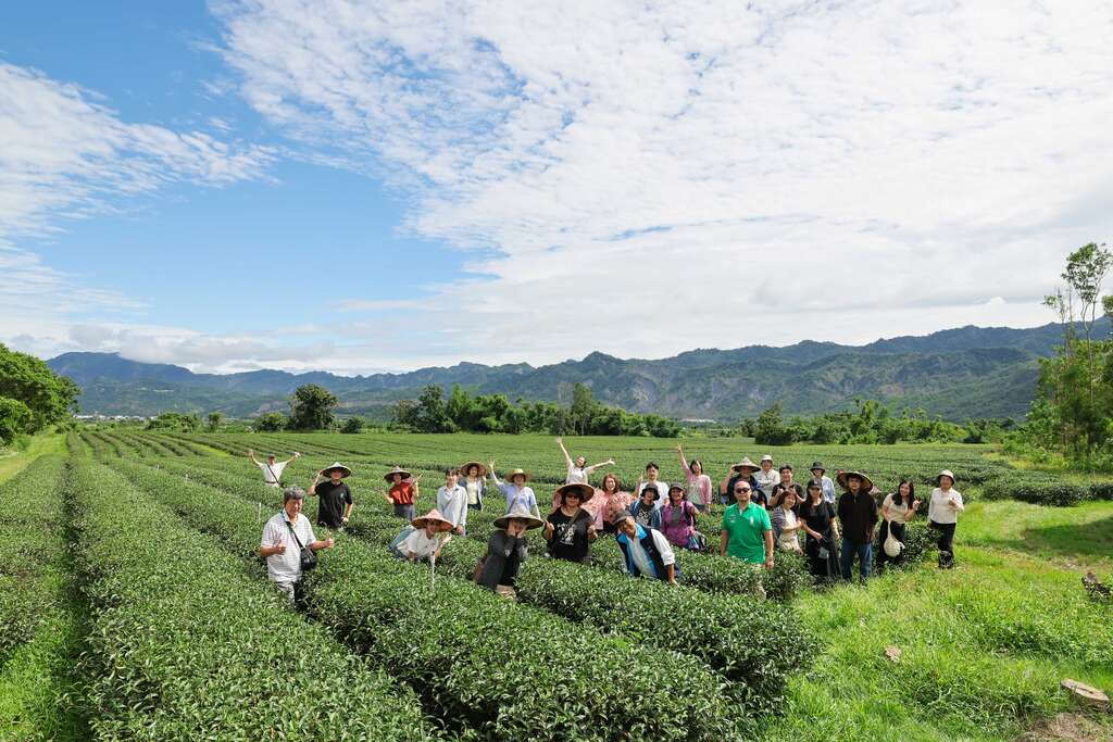 圖3-「女兒不懂茶」茶園生態導覽