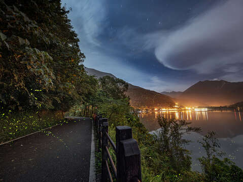 花蓮鯉魚潭螢火蟲  (16)