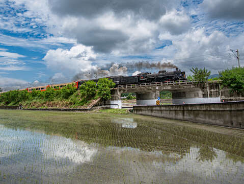 仲夏寶島號 (17)