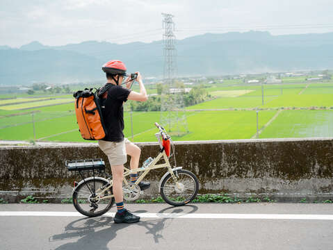 達娜看花東縱谷