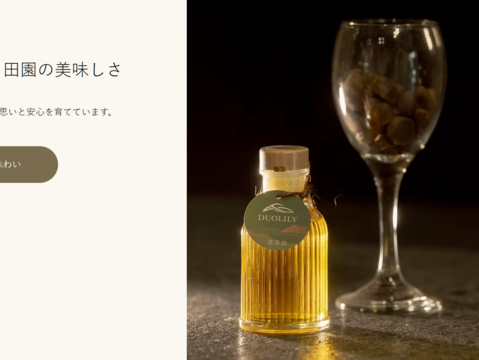 圖2-「朵栗栗」網站輔導成果