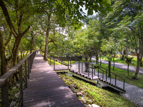 林田山林業文化園區 (夏) (23)